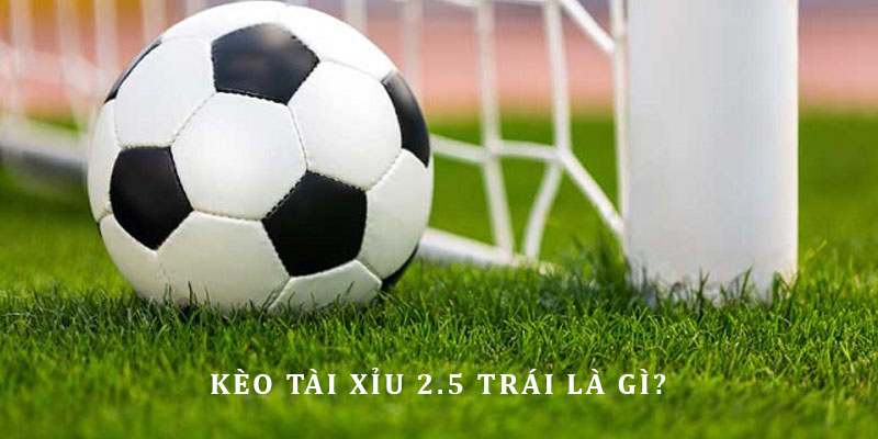 Tài xỉu 2.5