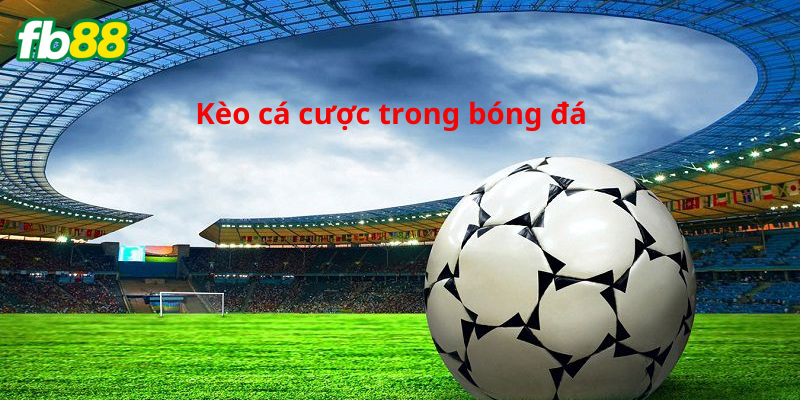 Kèo bóng đá không tính bù giờ