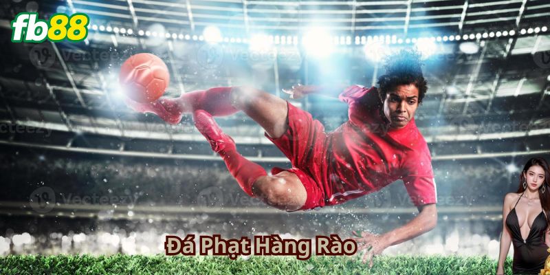 Giới Thiệu về Đá Phạt Hàng Rào