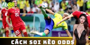 Cách Soi Kèo Odds Chính Xác Để Chiến Thắng Tại Nhà Cái FB88